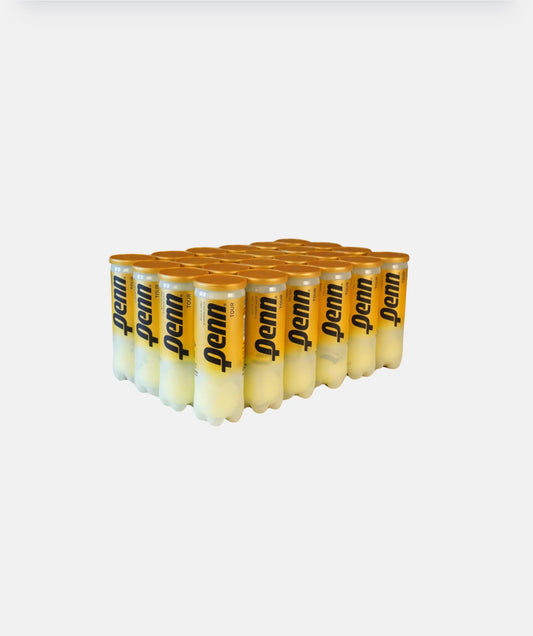 Penn Tour Regular Duty - Box of 24 Cans