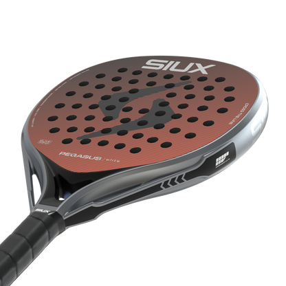 Siux Pegasus Elite 4 2026