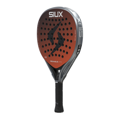 Siux Pegasus Elite 4 2026