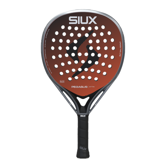 Siux Pegasus Elite 4 2026