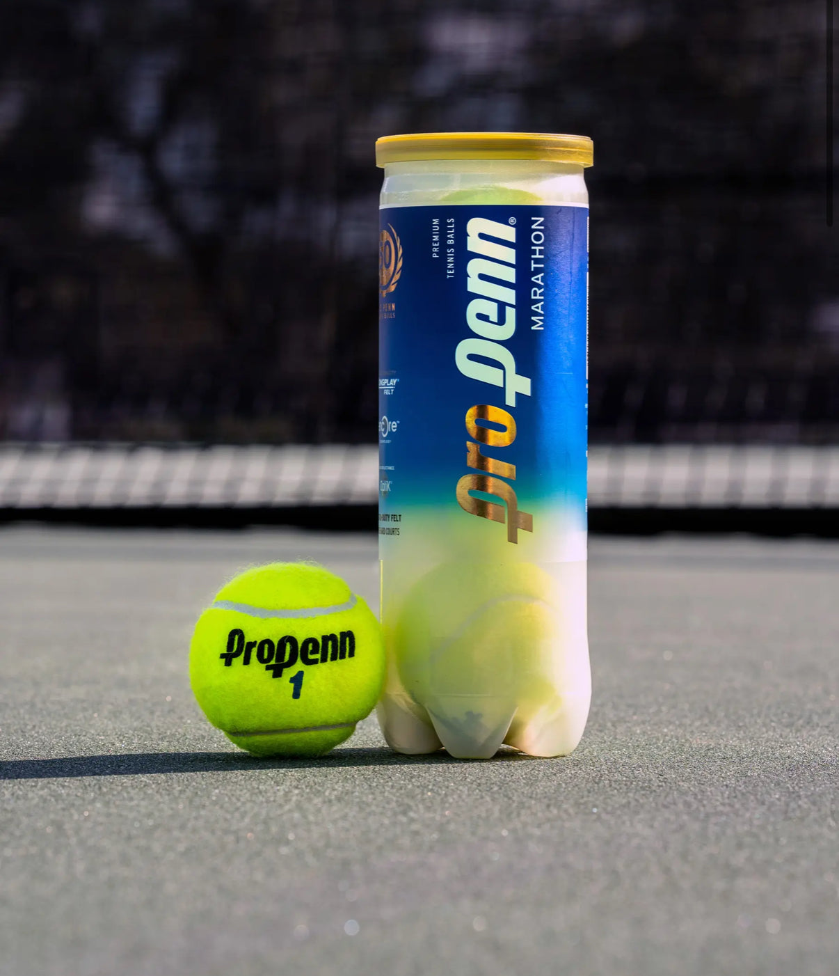 Tennis Balls Pro Penn Marathon Extra Duty - Box of 24 Cans sporting goods East Coast Padel product photo