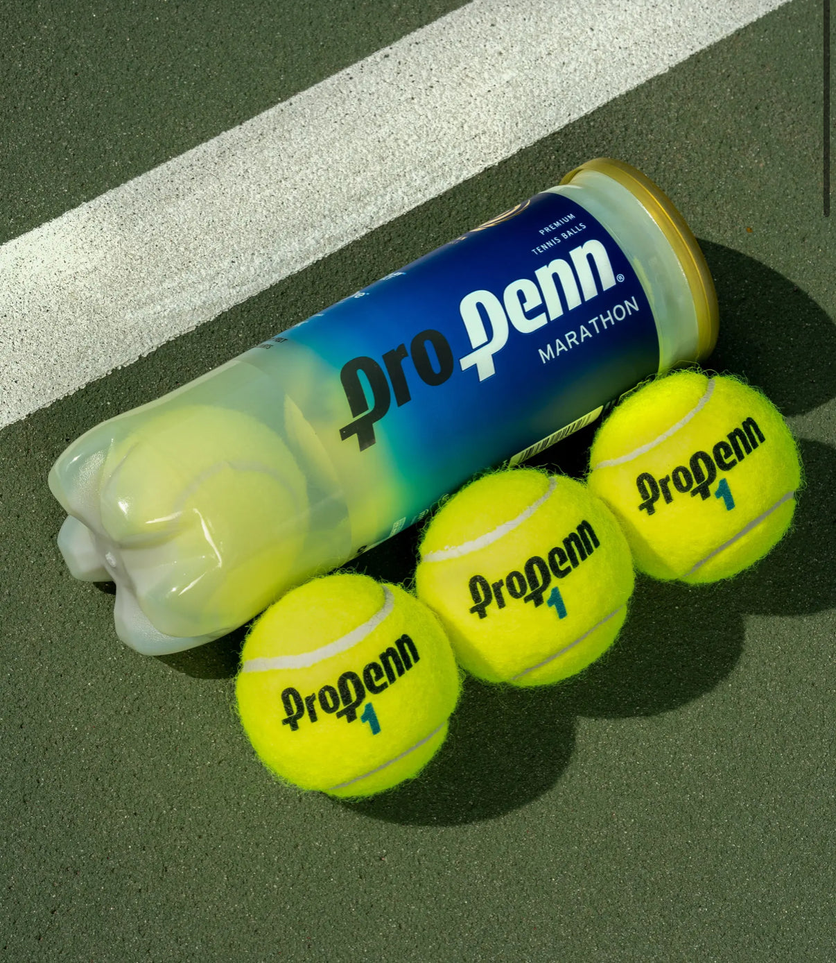 Tennis Balls Pro Penn Marathon Extra Duty - Box of 24 Cans sporting goods East Coast Padel product photo
