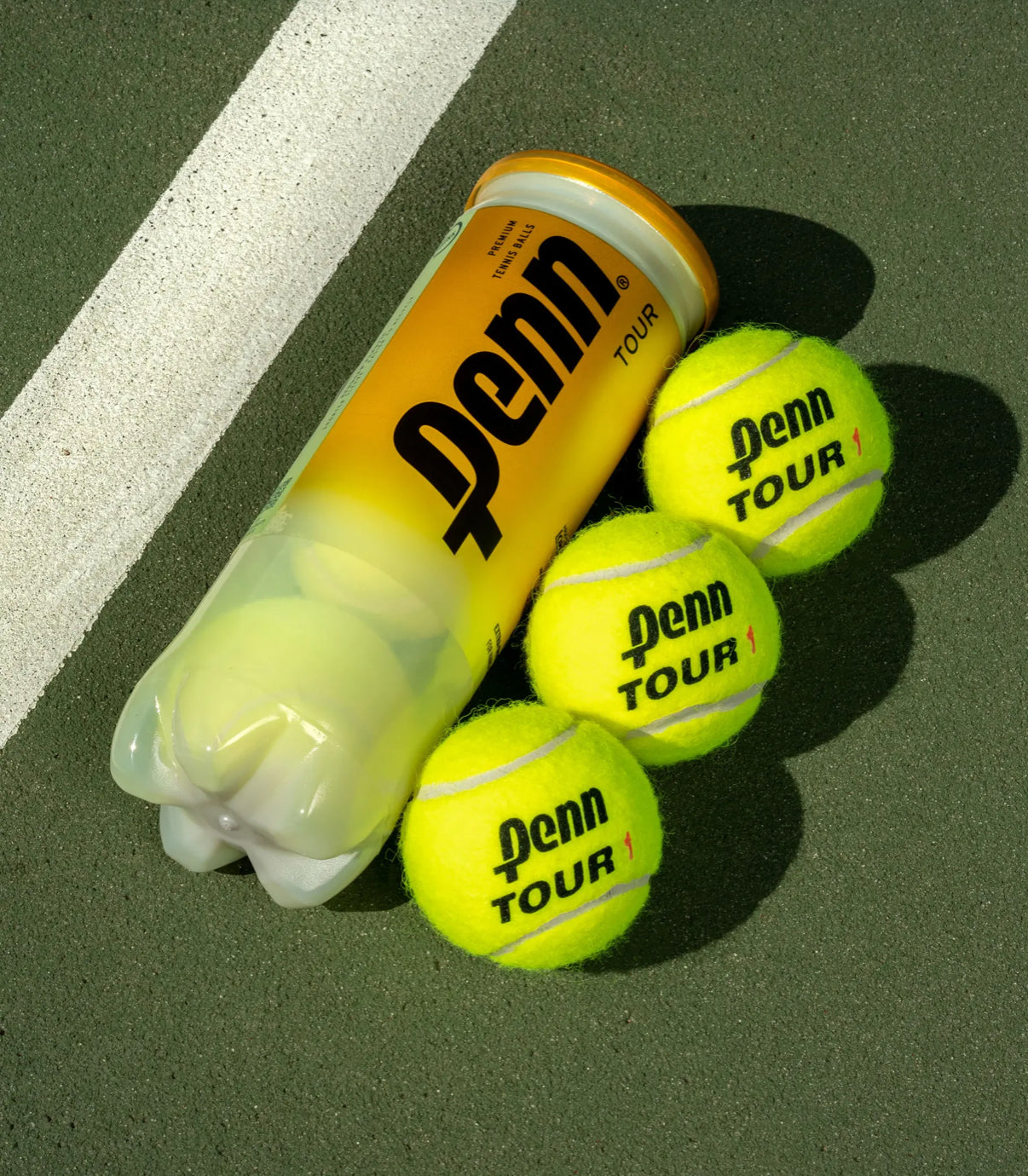 Penn Tour Extra Duty - Box of 24 Cans sporting goods East Coast Padel product photo